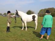 Image 56 in IPSWICH HORSE SOCIETY SPRING SHOW. 22  APRIL 2019