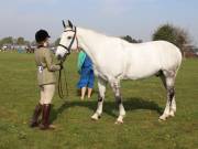 Image 59 in IPSWICH HORSE SOCIETY SPRING SHOW. 22  APRIL 2019