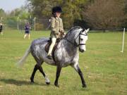 Image 61 in IPSWICH HORSE SOCIETY SPRING SHOW. 22 APRIL 2019