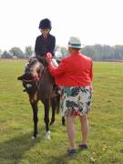 Image 65 in IPSWICH HORSE SOCIETY SPRING SHOW. 22 APRIL 2019