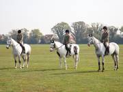 Image 69 in IPSWICH HORSE SOCIETY SPRING SHOW. 22 APRIL 2019