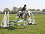 Image 7 in IPSWICH HORSE SOCIETY SPRING SHOW. 22 APRIL 2019