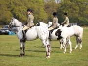 Image 70 in IPSWICH HORSE SOCIETY SPRING SHOW. 22 APRIL 2019