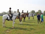 Image 73 in IPSWICH HORSE SOCIETY SPRING SHOW. 22 APRIL 2019