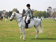 Image 75 in IPSWICH HORSE SOCIETY SPRING SHOW. 22 APRIL 2019