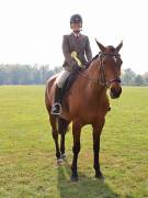 Image 76 in IPSWICH HORSE SOCIETY SPRING SHOW. 22 APRIL 2019