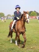 Image 77 in IPSWICH HORSE SOCIETY SPRING SHOW. 22 APRIL 2019