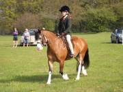 Image 78 in IPSWICH HORSE SOCIETY SPRING SHOW. 22 APRIL 2019