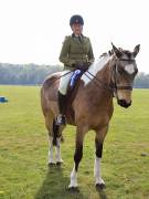 Image 79 in IPSWICH HORSE SOCIETY SPRING SHOW. 22 APRIL 2019