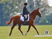 Image 9 in IPSWICH HORSE SOCIETY SPRING SHOW. 22 APRIL 2019