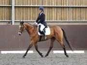 DRESSAGE. WORLD HORSE WELFARE. 4TH MAY 2019