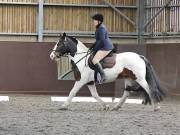 Image 102 in DRESSAGE. WORLD HORSE WELFARE. 4TH MAY 2019
