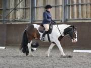 Image 107 in DRESSAGE. WORLD HORSE WELFARE. 4TH MAY 2019