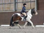Image 108 in DRESSAGE. WORLD HORSE WELFARE. 4TH MAY 2019