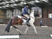 Image 116 in DRESSAGE. WORLD HORSE WELFARE. 4TH MAY 2019