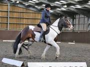Image 119 in DRESSAGE. WORLD HORSE WELFARE. 4TH MAY 2019