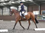 Image 15 in DRESSAGE. WORLD HORSE WELFARE. 4TH MAY 2019