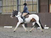 Image 16 in DRESSAGE. WORLD HORSE WELFARE. 4TH MAY 2019
