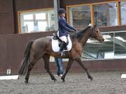 Image 28 in DRESSAGE. WORLD HORSE WELFARE. 4TH MAY 2019