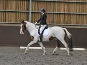 Image 41 in DRESSAGE. WORLD HORSE WELFARE. 4TH MAY 2019