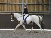Image 43 in DRESSAGE. WORLD HORSE WELFARE. 4TH MAY 2019
