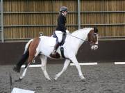 Image 44 in DRESSAGE. WORLD HORSE WELFARE. 4TH MAY 2019