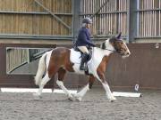 Image 5 in DRESSAGE. WORLD HORSE WELFARE. 4TH MAY 2019