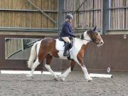 Image 5 in DRESSAGE. WORLD HORSE WELFARE. 4TH MAY 2019