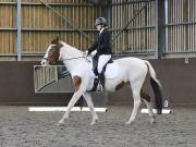 Image 52 in DRESSAGE. WORLD HORSE WELFARE. 4TH MAY 2019