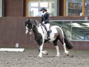Image 71 in DRESSAGE. WORLD HORSE WELFARE. 4TH MAY 2019