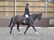Image 8 in DRESSAGE. WORLD HORSE WELFARE. 4TH MAY 2019