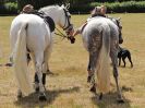 Image 19 in SOUTH NORFOLK PONY CLUB. 28 JULY 2018. A SELECTION FROM THE REST (NOT SHOW JUMPING OR SHOWING ).