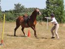 Image 3 in SOUTH NORFOLK PONY CLUB. 28 JULY 2018. A SELECTION FROM THE REST (NOT SHOW JUMPING OR SHOWING ).