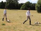 Image 36 in SOUTH NORFOLK PONY CLUB. 28 JULY 2018. A SELECTION FROM THE REST (NOT SHOW JUMPING OR SHOWING ).