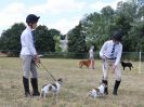 Image 38 in SOUTH NORFOLK PONY CLUB. 28 JULY 2018. A SELECTION FROM THE REST (NOT SHOW JUMPING OR SHOWING ).