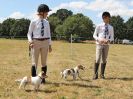 Image 39 in SOUTH NORFOLK PONY CLUB. 28 JULY 2018. A SELECTION FROM THE REST (NOT SHOW JUMPING OR SHOWING ).