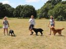 Image 44 in SOUTH NORFOLK PONY CLUB. 28 JULY 2018. A SELECTION FROM THE REST (NOT SHOW JUMPING OR SHOWING ).