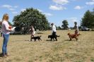 Image 45 in SOUTH NORFOLK PONY CLUB. 28 JULY 2018. A SELECTION FROM THE REST (NOT SHOW JUMPING OR SHOWING ).