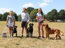 Image 47 in SOUTH NORFOLK PONY CLUB. 28 JULY 2018. A SELECTION FROM THE REST (NOT SHOW JUMPING OR SHOWING ).