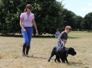 Image 48 in SOUTH NORFOLK PONY CLUB. 28 JULY 2018. A SELECTION FROM THE REST (NOT SHOW JUMPING OR SHOWING ).