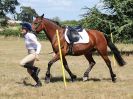 Image 5 in SOUTH NORFOLK PONY CLUB. 28 JULY 2018. A SELECTION FROM THE REST (NOT SHOW JUMPING OR SHOWING ).