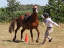 Image 9 in SOUTH NORFOLK PONY CLUB. 28 JULY 2018. A SELECTION FROM THE REST (NOT SHOW JUMPING OR SHOWING ).