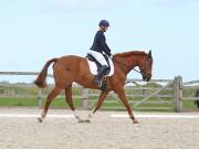 Image 1 in DRESSAGE. BROADLAND EQUESTRIAN CENTRE. 11 MAY 2019