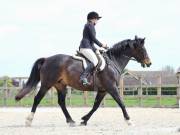 Image 10 in DRESSAGE. BROADLAND EQUESTRIAN CENTRE. 11 MAY 2019