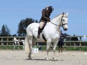 Image 101 in DRESSAGE. BROADLAND EQUESTRIAN CENTRE. 11 MAY 2019