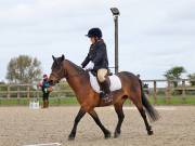 Image 11 in DRESSAGE. BROADLAND EQUESTRIAN CENTRE. 11 MAY 2019