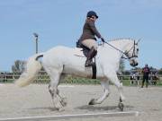 Image 117 in DRESSAGE. BROADLAND EQUESTRIAN CENTRE. 11 MAY 2019