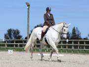 Image 119 in DRESSAGE. BROADLAND EQUESTRIAN CENTRE. 11 MAY 2019