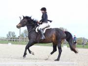 Image 126 in DRESSAGE. BROADLAND EQUESTRIAN CENTRE. 11 MAY 2019