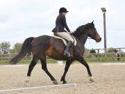 Image 129 in DRESSAGE. BROADLAND EQUESTRIAN CENTRE. 11 MAY 2019